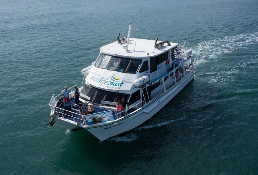 Philip Island: Dolphin and Whale Cruise - Price and value: is $95 for 3 hours a fair deal?