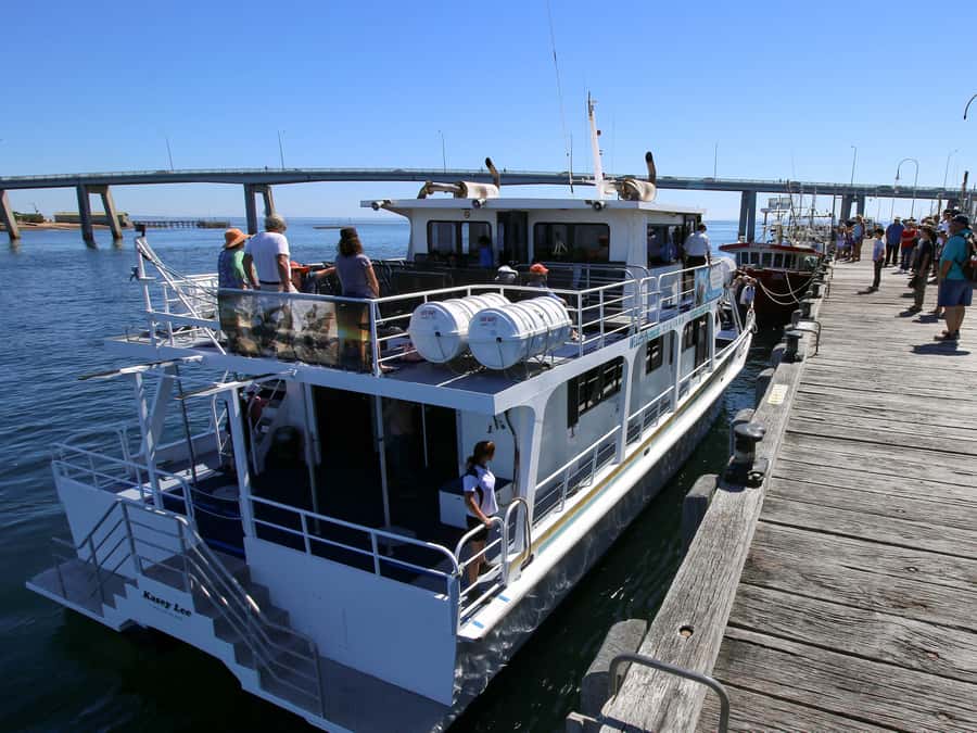 Philip Island: Dolphin and Whale Cruise - The route: Cape Woolamai to the southern coastline