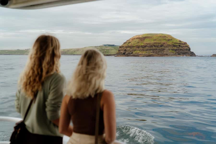 Philip Island: Seal Watching Cruise - What You Actually See at the Colony: Pups, Bulls, and Behavior Clues