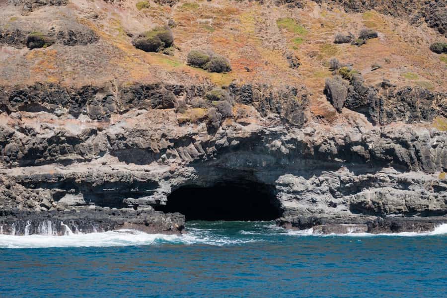 Philip Island: Seal Watching Cruise - Cost and Value: Why $81 for Two Hours Can Make Sense