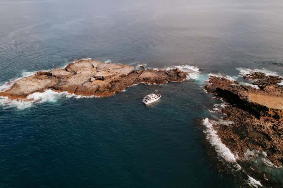 Philip Island: Seal Watching Cruise - A Balanced Expectation: Wildlife Might Surprise You
