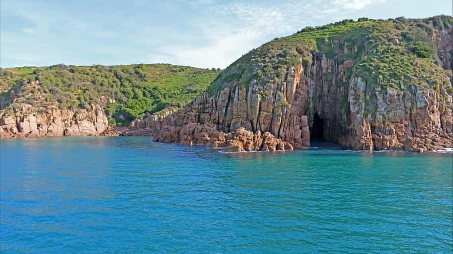 Phillip Island: 1-Hour Cape Woolamai Scenic Cruise - Seabirds, Seals, Dolphins, and the Pelicans Timing Trick