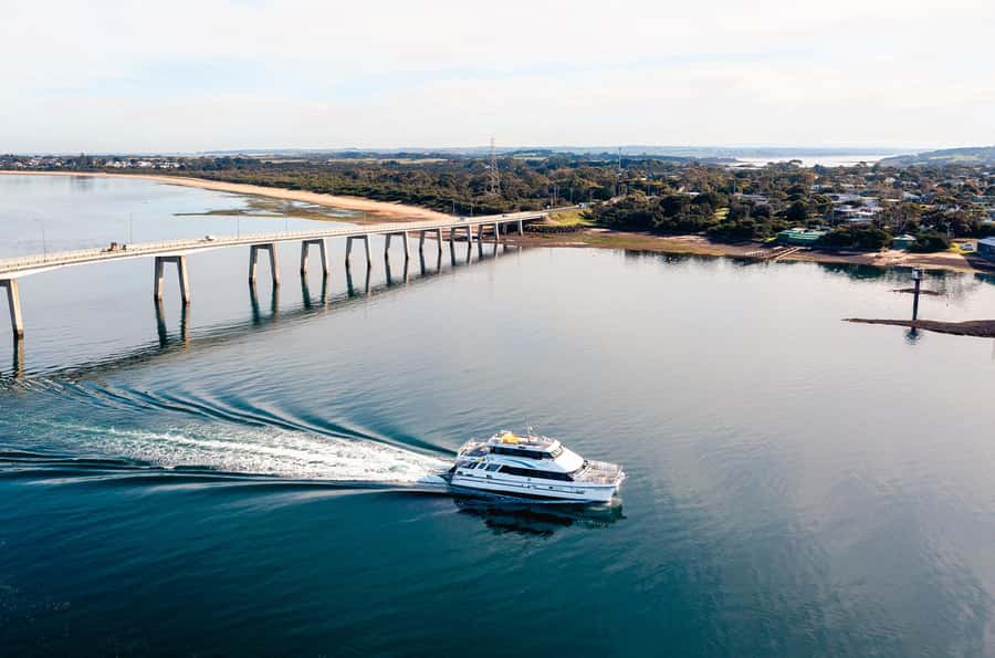 Phillip Island: 1-Hour Cape Woolamai Scenic Cruise - The 1-Meter Front Deck Rule and Other Comfort Notes