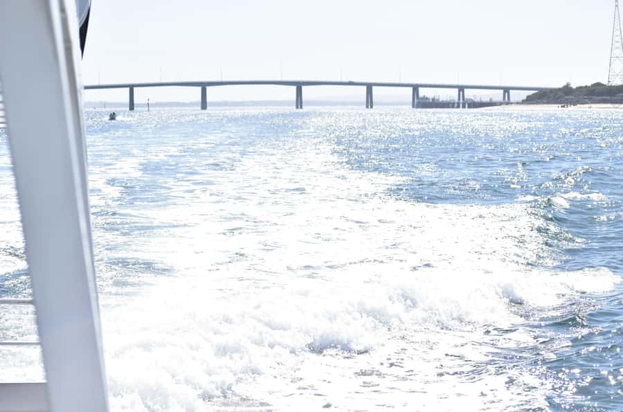 Phillip Island: 1-Hour Cape Woolamai Scenic Cruise - Price and Value: $34 for One Hour With Real Inclusions