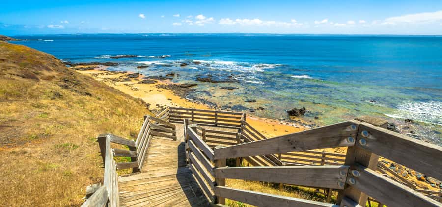 Phillip Island Driving Tour with an APP - Forrest Caves and A Maze N Things: Fun Stops That Break the Wildlife Rhythm