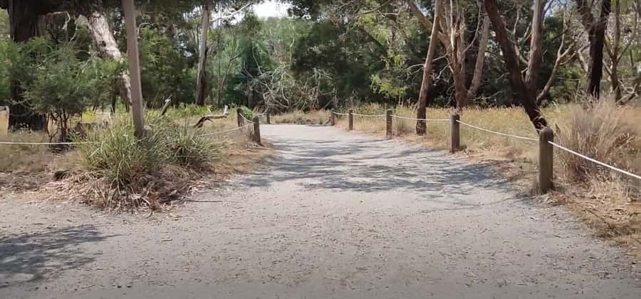 Phillip Island Driving Tour with an APP - Koala Conservation Reserve and Phillip Island Wildlife Park: Wildlife Encounters Without the Guesswork