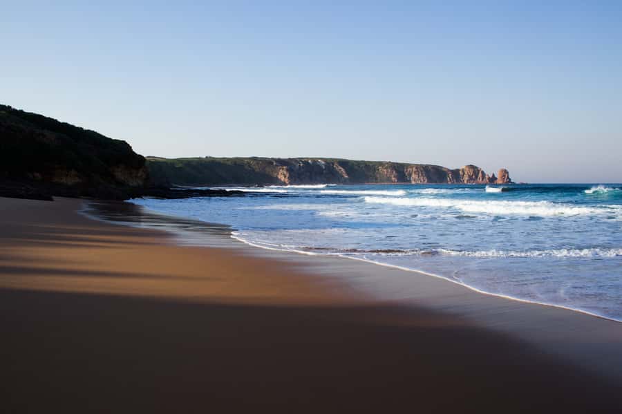 Phillip Island: Hike and Penguin Parade - 8 pax Small Tour - Key things that make this tour work