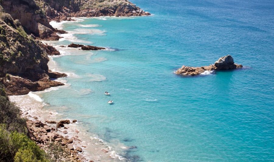 Phillip Island: Hike and Penguin Parade - 8 pax Small Tour - Price and value: where this tour makes sense, and where it might not