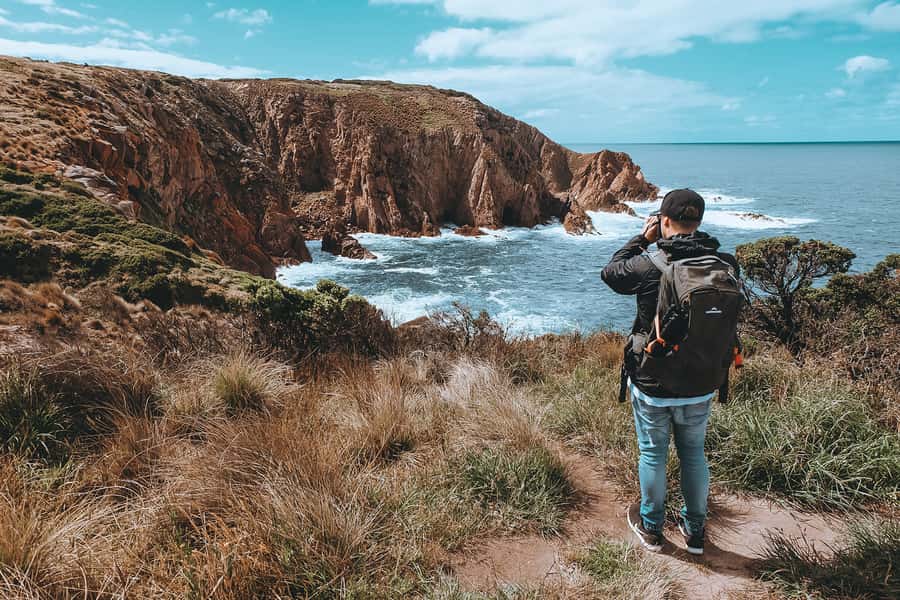 Phillip Island: Hike and Penguin Parade - 8 pax Small Tour - Who should book this hike-and-wildlife day (and who shouldn’t)
