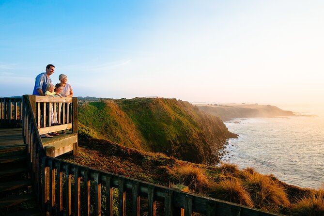 Phillip Island Penguin and Koala Highlights Day-Trip from Melbourne - Key highlights to look for