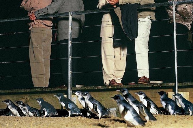Phillip Island Penguin and wildlife Tour - Getting from Melbourne: pickup, mobile ticket, and a late return