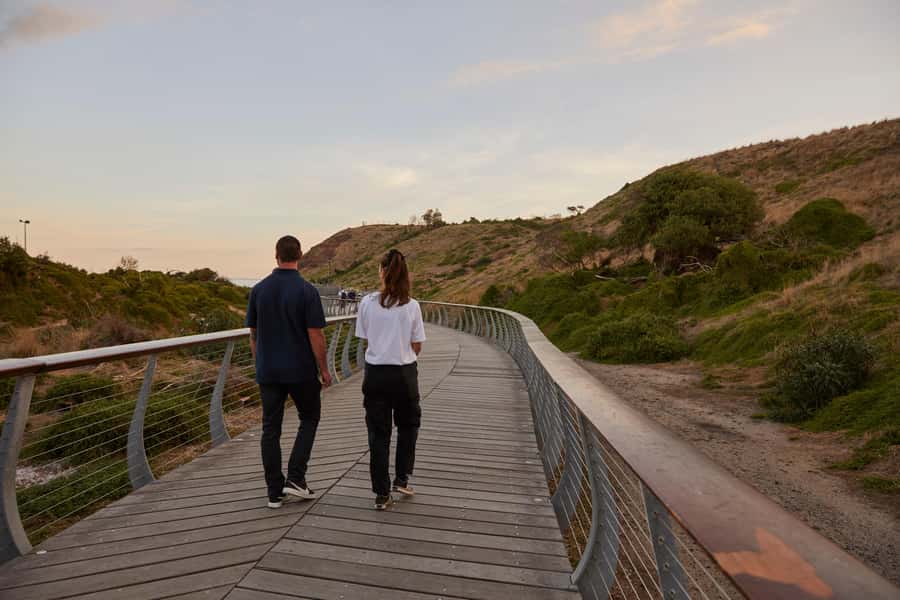 Phillip Island Penguin Direct Sunset Tour - Should you book this Phillip Island Penguin Direct Sunset Tour?
