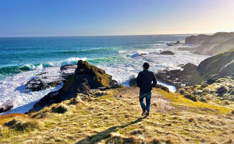 Phillip Island Penguin Parade Afternoon Tour from Melbourne - Stop 1 at the Nobbies boardwalk: rugged coastline and seal sightings