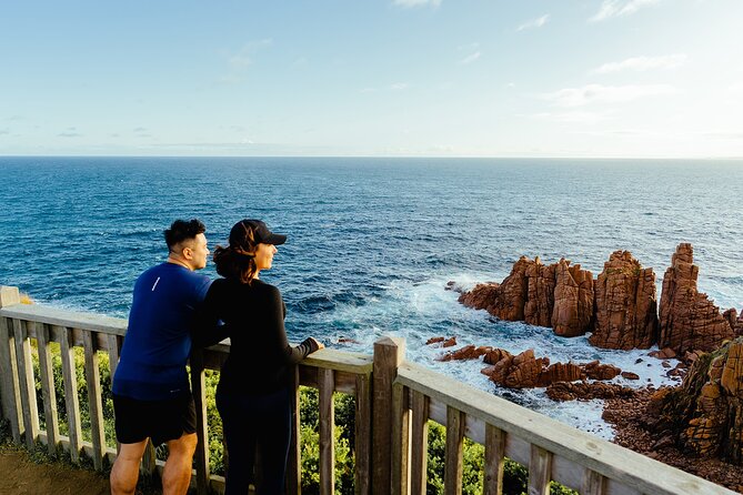 Phillip Island Penguin Parade Express Tour from Melbourne - A hands-off wildlife night trip with real timing