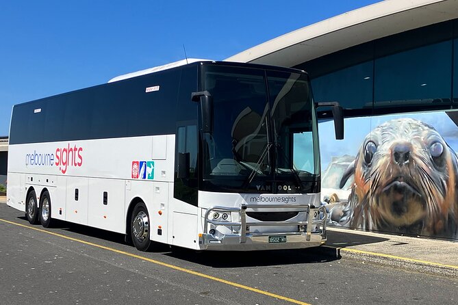 Phillip Island Penguin Parade Express Tour from Melbourne - Crowds, seats, and that tricky question: will you see them well?