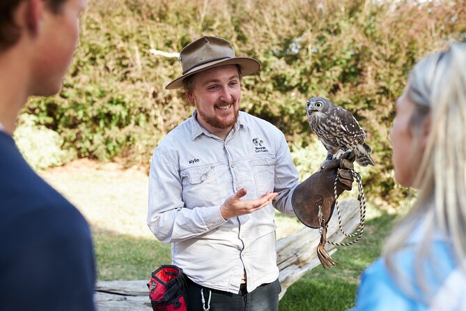 Phillip Island Penguin Parade, Wildlife and Beach Boxes Bus Tour - Price and value: what $111.17 really buys you
