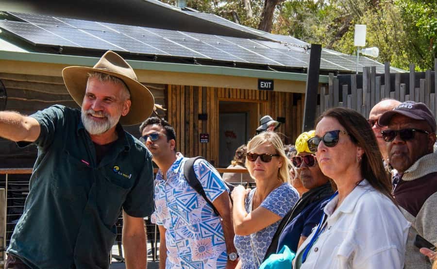Phillip Island Penguin Parade with Expert Local Guide - Price and value: what $116 buys you (and what it doesn’t)