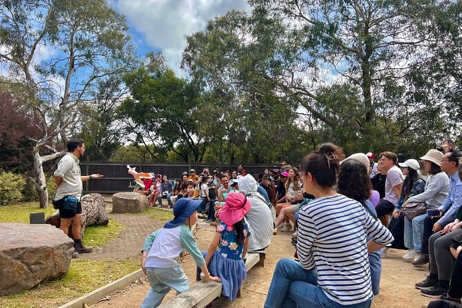 Phillip Island Penguins & Wildlife Day Tour from Melbourne - Price and value: what about $111 gets you (and what it doesn’t)