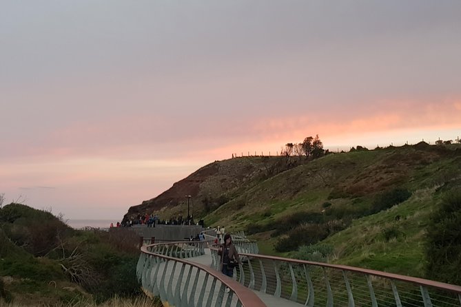 Phillip Island Private Experience - Penguin Parade Nature Parks: Pick Your Option and Get Close