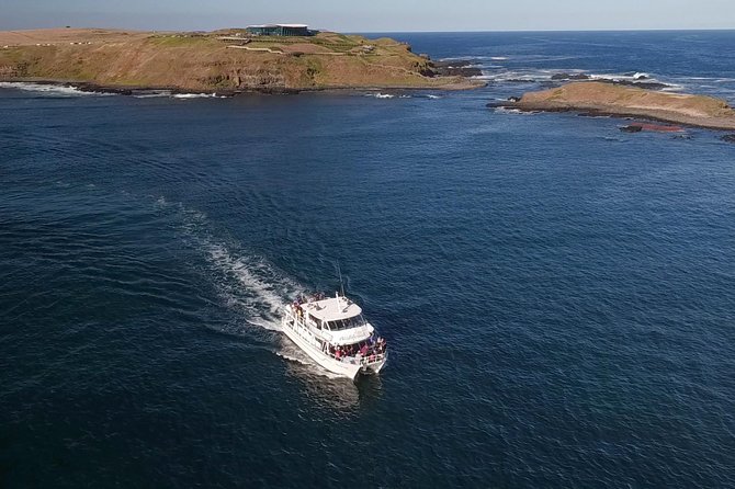 Phillip Island Seal-Watching Cruise - Cruising Phillip Island’s western shoreline with live commentary