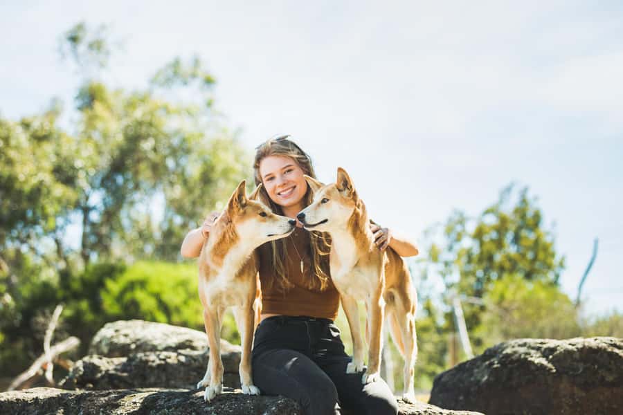 Phillip Island Wildlife & Brighton Beach Boxes Private Tour - Who this tour is best for (and who should pass)