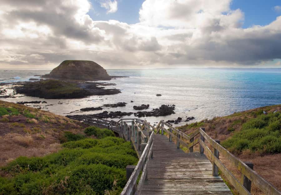 Phillip Island Wildlife & Brighton Beach Boxes Private Tour - A private day where the driving doesn’t steal the fun