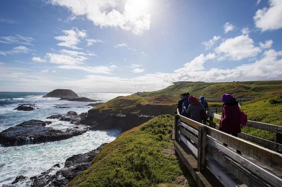 Phillip Island Wildlife & Brighton Beach Boxes Private Tour - The Nobbies Lookout and Seal Rock boardwalk for serious sea-view time