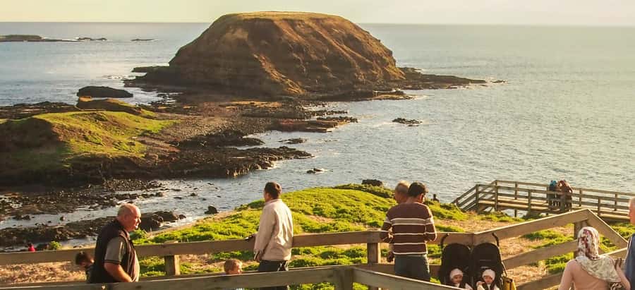Phillip Island Wildlife & Brighton Beach Boxes Private Tour - Phillip Island Penguin Parade: how to make the waiting part worth it