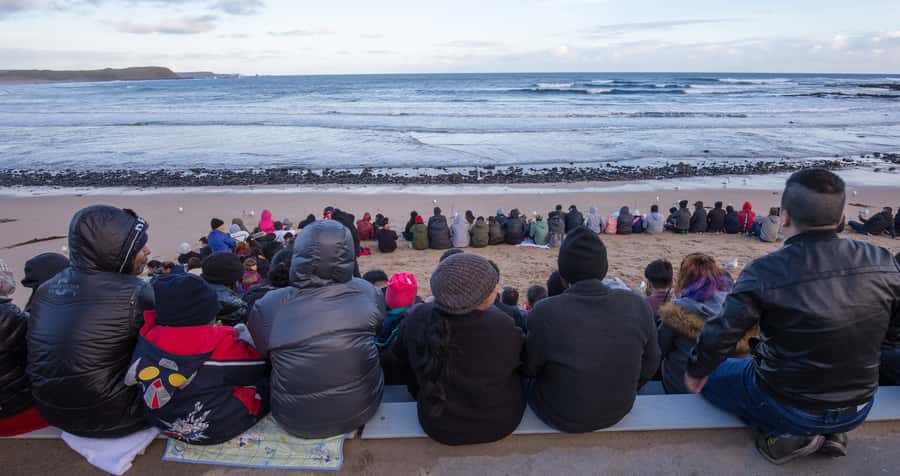 Phillip Island Wildlife & Brighton Beach Boxes Private Tour - Packing for wind, walking, and the penguin dinner hours