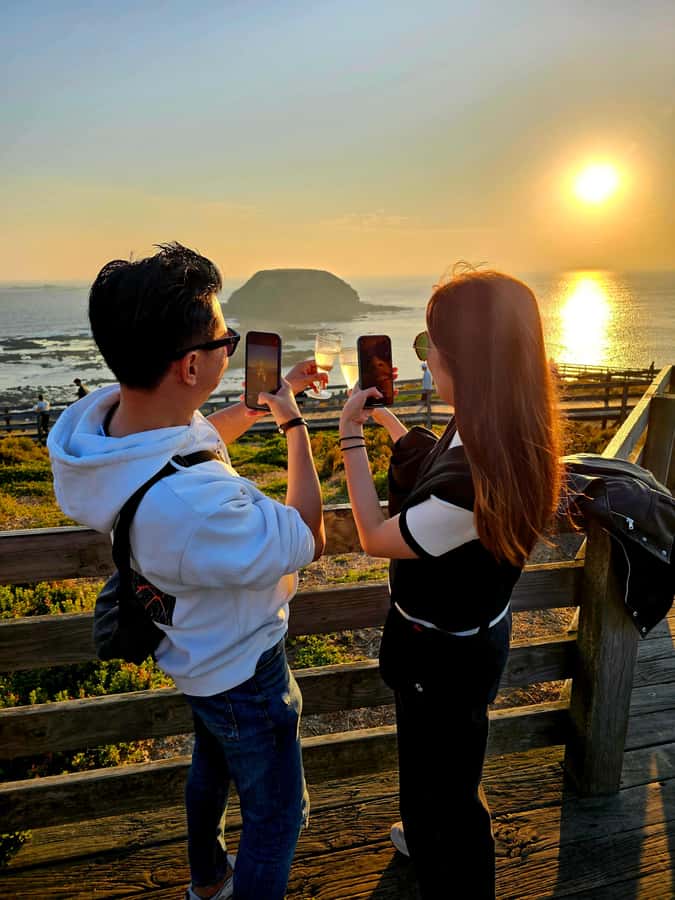Phillip Island: Wine, Wildlife & Penguins with Gourmet Feast - Phillip Island orientation and your first wildlife cues