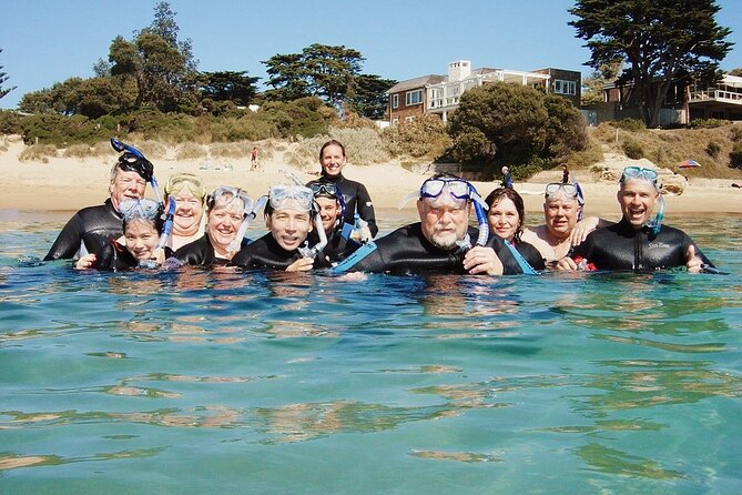 Port Phillip Bay Snorkeling with Sea Dragons - The land briefing: snorkeling basics, equipment use, and in-water communication