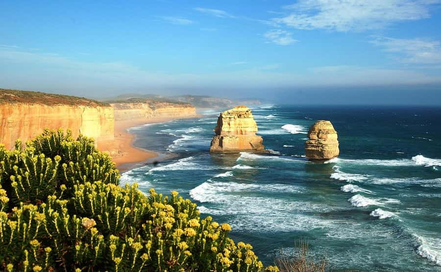 PREMIUM Great Ocean RD Tour REVRS-Luxry SML GRP-Hotel PickUP - Colac to Tom and Eva Lookout: A Gentle Warm-Up
