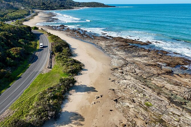 Premium Great Ocean Road Tour IN A Relaxed Way IN Premium Coach - Kennet River wildlife spotting and the Memorial Arch photo stop