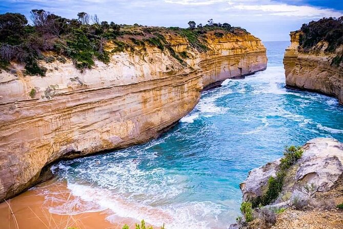 Premium Small Group Great Ocean Road & Wildlife with Lunch - Great Ocean Road day trips feel different in a minibus