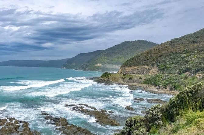 Premium Small Group Great Ocean Road & Wildlife with Lunch - Anglesea and wildlife odds: kangaroos in the real world