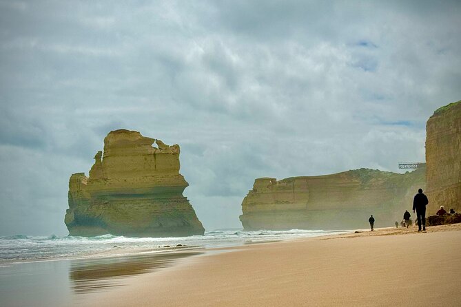 Premium Small Group Great Ocean Road & Wildlife with Lunch - Great Otway National Park: a short koala-spotting window