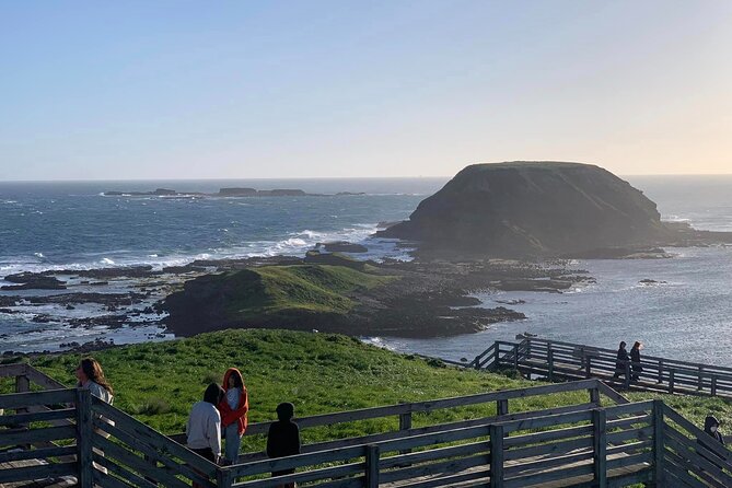 Premium Small Group Philip Island eco Tour - Penguin Parade at Phillip Island Nature Parks: the main event at sunset