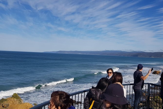 Private 12 Apostles Express Tour - Shorter - Getting comfortable in a Mercedes minivan with pickup at Southern Cross