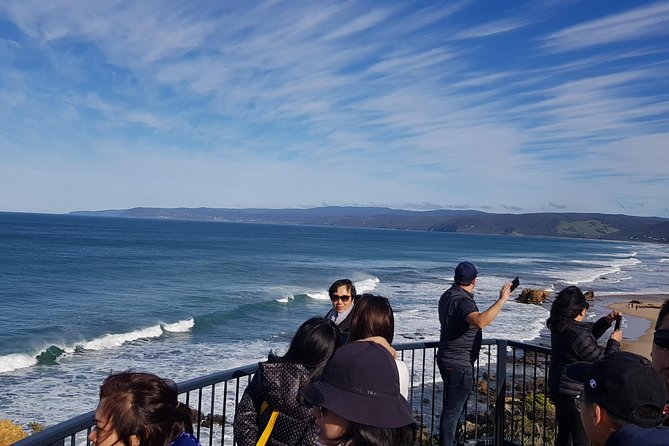 Private and Customised Great Ocean Road and Luxury Tour - Mait’s Rest in Great Otway National Park: rainforest walking without drama