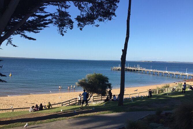 Private custom Tour of Phillip Island With Penguin Parade - Penguin Parade at sunset: the main event and how to enjoy it