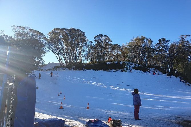 Private custom Tour of Phillip Island With Penguin Parade - Summerlands Lookout: a short stop that earns its keep