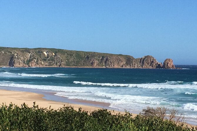 Private custom Tour of Phillip Island With Penguin Parade - Price and value: is $1,756.53 per group fair for a private day?