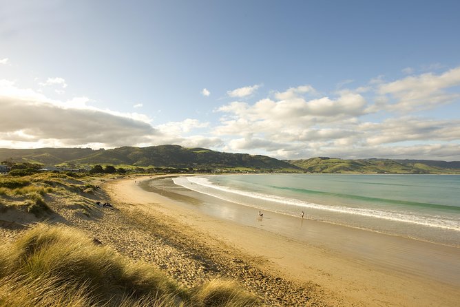 Private Great Ocean Road and Twelve Apostles Tour from Melbourne - Apollo Bay: seafood and local produce with an ocean view