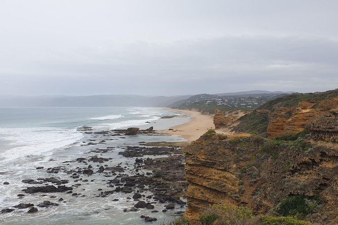 Private Great Ocean Road Day Trip from Melbourne - Why this private Great Ocean Road day feels easier than it should