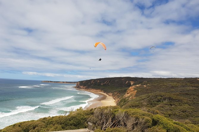 Private Great Ocean Road Day Trip from Melbourne - Apollo Bay lunch: fresh seafood, and you choose your pace