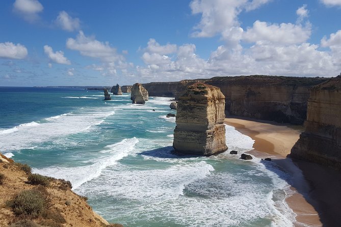Private Great Ocean Road Day Trip from Melbourne - The Otways rainforest walk: a short reset from the coast