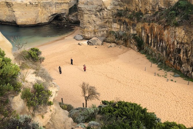 Private Great Ocean Road Local Experience - Anglesea and Kennet River: coastal town vibes and wildlife spotting