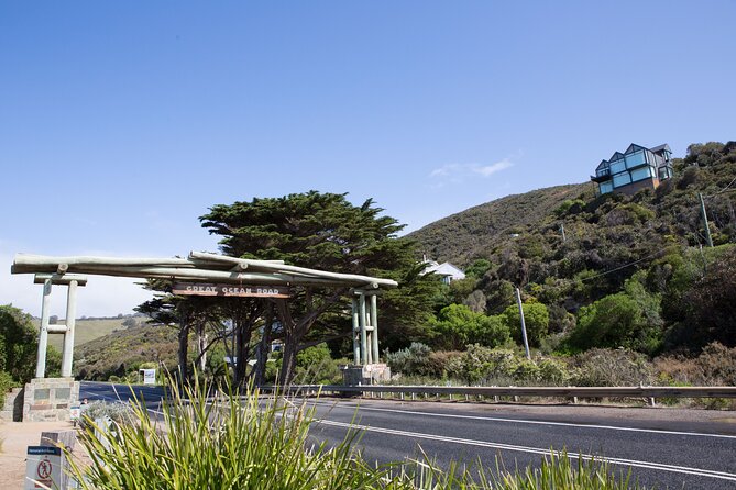 Private Great Ocean Road - The Ultimate Aussie Adventure - Koalas and kangaroos: spotting strategy and the reality check