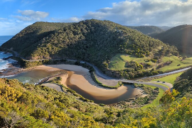 Private Great Ocean Road Tour (overnight option) - Day 2: Great Otway National Park and Lavers Hill coffee