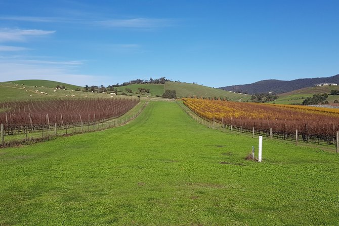 Private, Luxury and Tailored Yarra Valley Wine Tour - Key things to know before you go